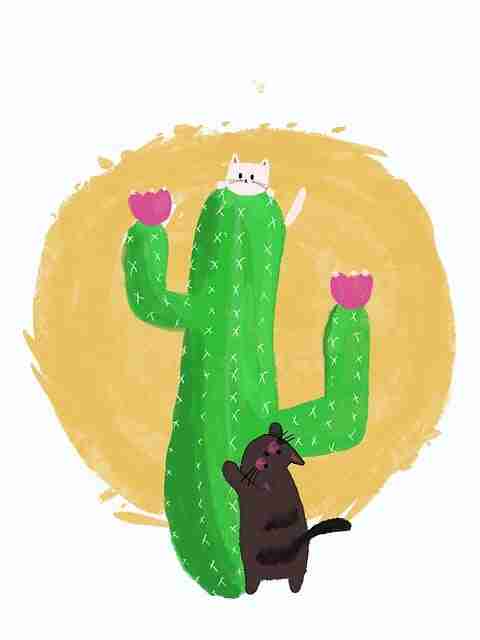 流量密码《麻豆游戏》增长黑客必读