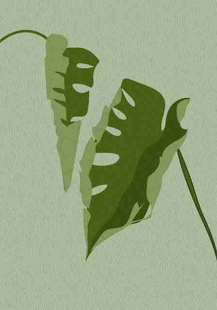 运营秘籍《鉴黄师官网入口》隐私争议深读