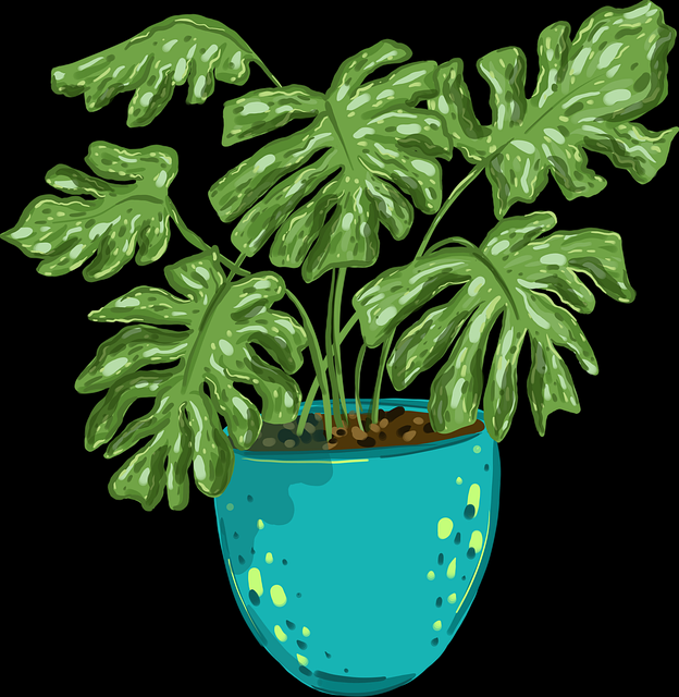 版权逻辑！每日大赛在线观看运营秘籍榜单