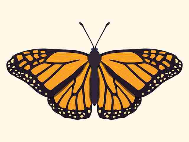 51视频网站连载综艺《瓜田甜事》幕后故事