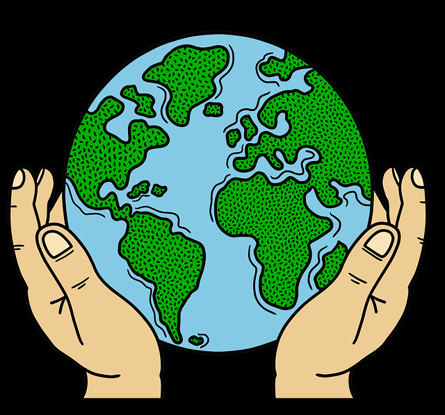 高手心得《每日大赛91》观赛指南内行视角